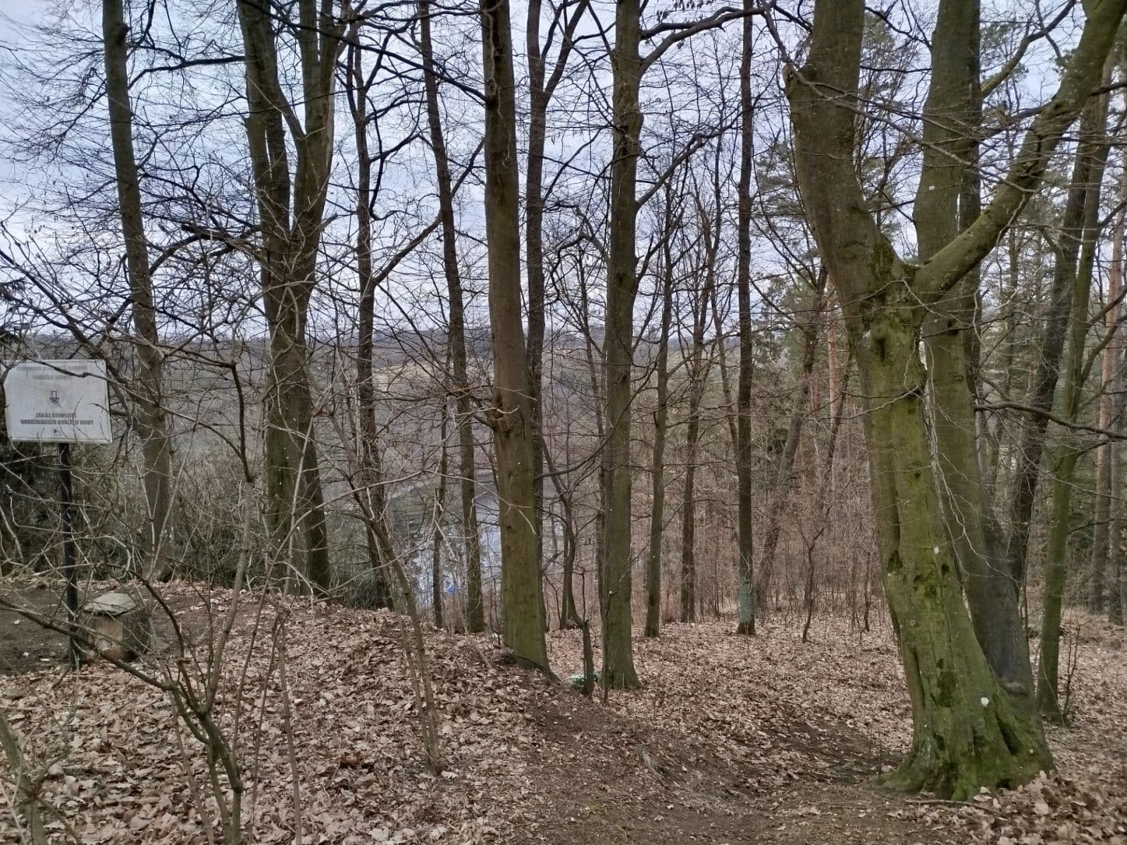 Prodej chaty, chalupy 31 m², pozemek 31 m², Křižanovice, Pardubický kraj Prodej chaty, chalupy 31 m², pozemek 31 m², Křižanovice, Pardubický kraj