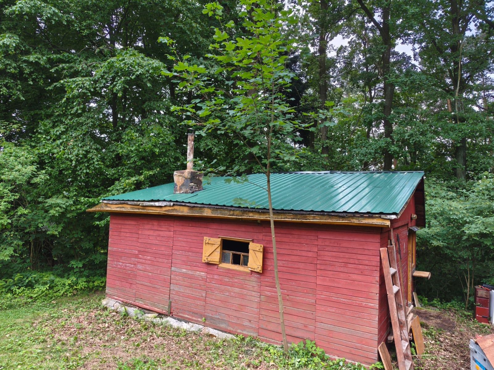 Prodej chaty, chalupy 31 m², pozemek 31 m², Křižanovice, Pardubický kraj Prodej chaty, chalupy 31 m², pozemek 31 m², Křižanovice, Pardubický kraj