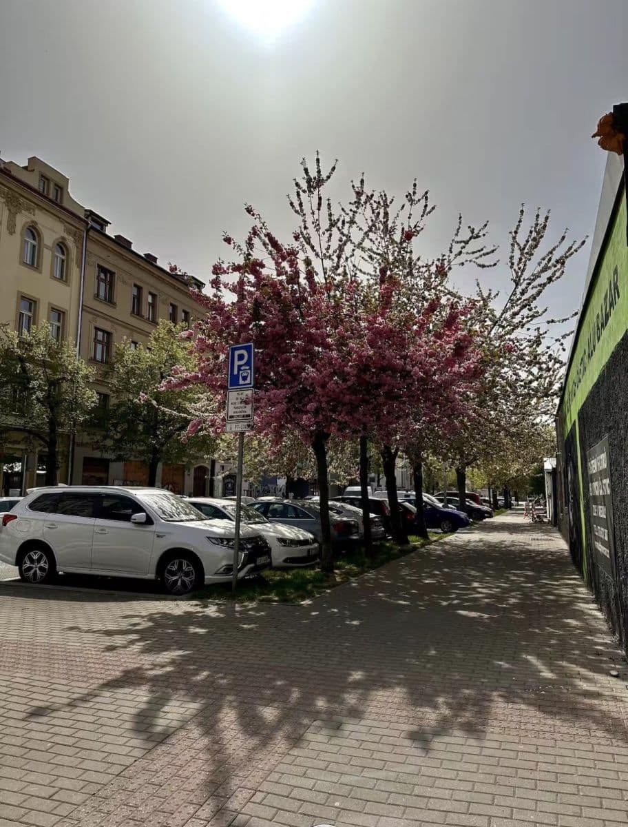 Pronájem bytu 26 m², Na Maninách, Praha, Praha Pronájem bytu 26 m², Na Maninách, Praha, Praha