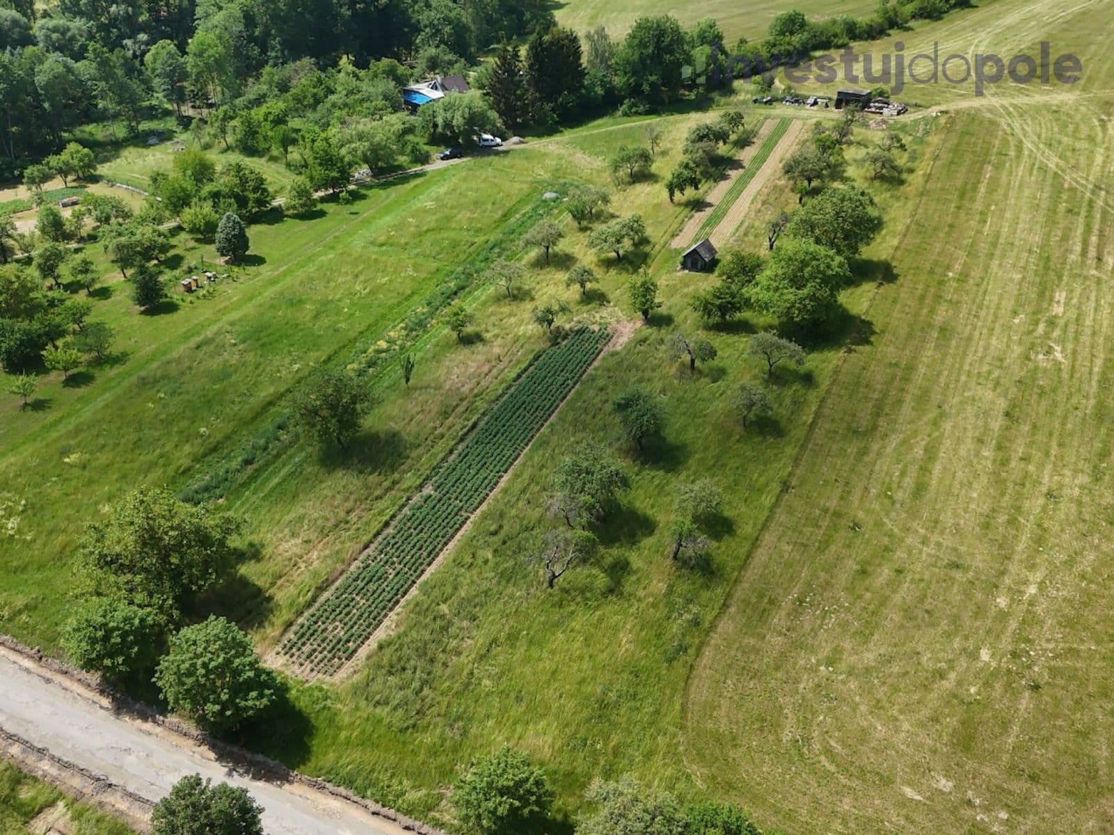 Prodej pozemku 4.404 m², Konice, Olomoucký kraj Prodej pozemku 4.404 m², Konice, Olomoucký kraj