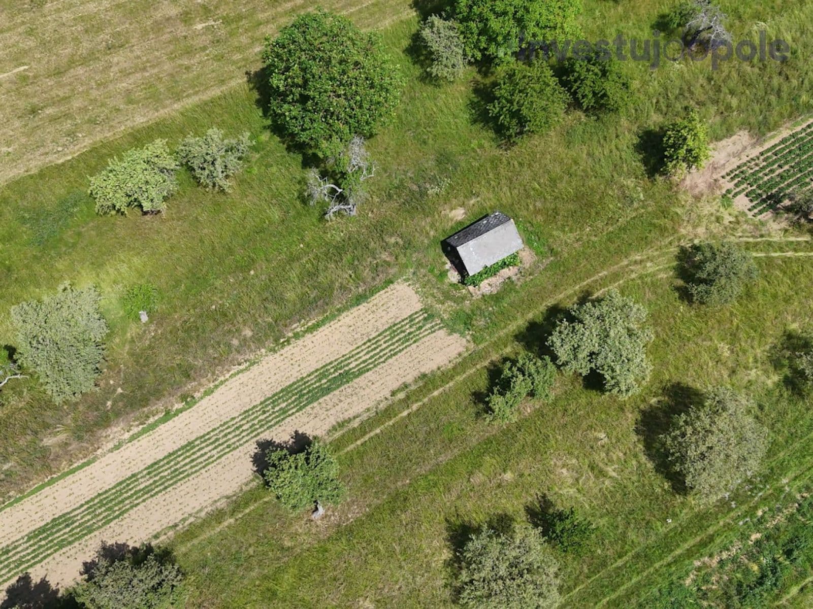 Prodej pozemku 4.404 m², Konice, Olomoucký kraj Prodej pozemku 4.404 m², Konice, Olomoucký kraj
