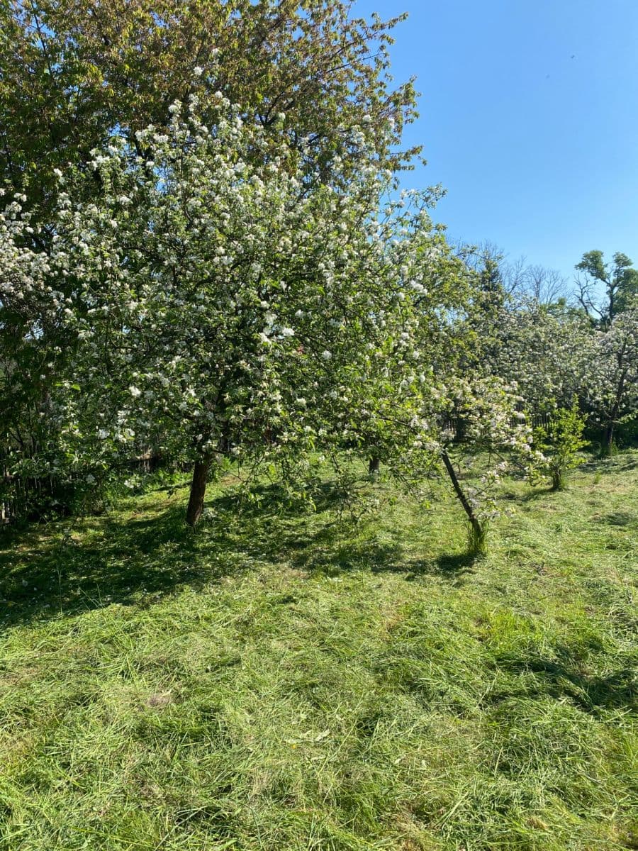 Prodej domu 125 m², pozemek 1.547 m², 272, Bělá pod Bezdězem, Středočeský kraj Prodej domu 125 m², pozemek 1.547 m², 272, Bělá pod Bezdězem, Středočeský kraj