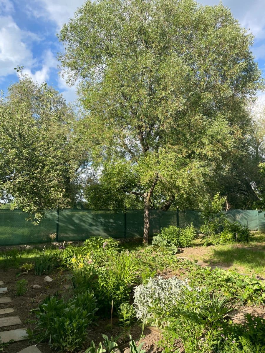 Prodej pozemku 600 m², Louny, Ústecký kraj Prodej pozemku 600 m², Louny, Ústecký kraj
