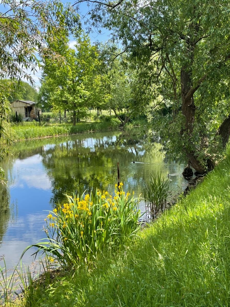 Prodej pozemku 600 m², Louny, Ústecký kraj Prodej pozemku 600 m², Louny, Ústecký kraj