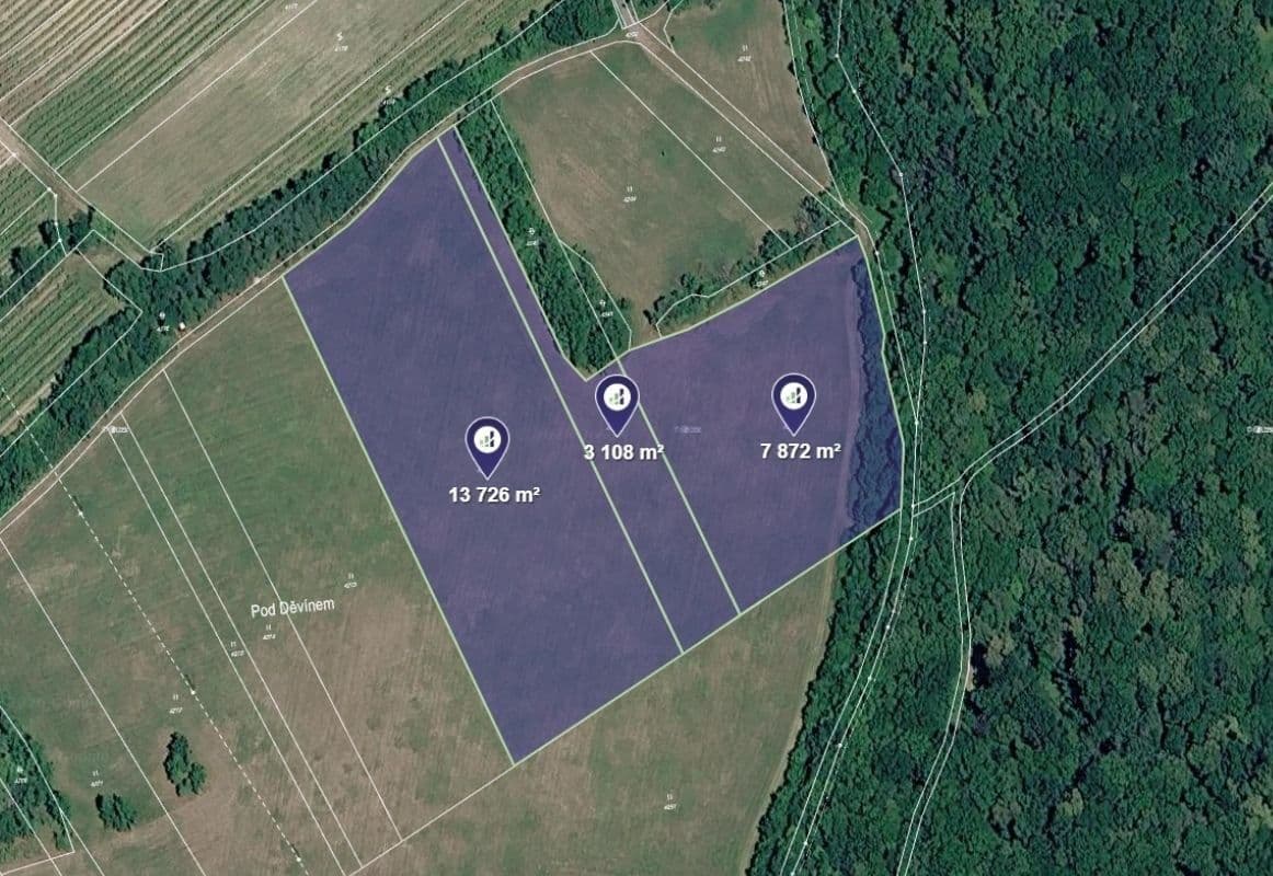 Prodej pozemku 24.706 m², Horní Věstonice, Jihomoravský kraj Prodej pozemku 24.706 m², Horní Věstonice, Jihomoravský kraj