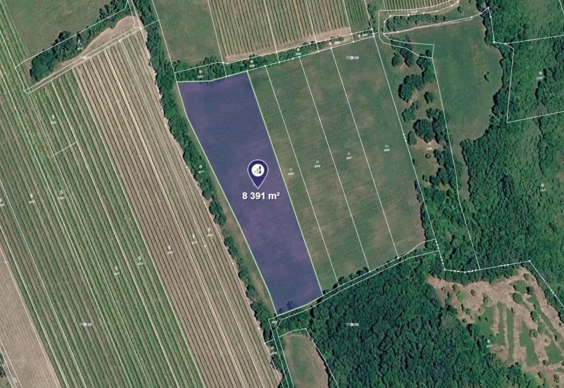 Prodej pozemku 8.391 m², Horní Věstonice, Jihomoravský kraj Prodej pozemku 8.391 m², Horní Věstonice, Jihomoravský kraj