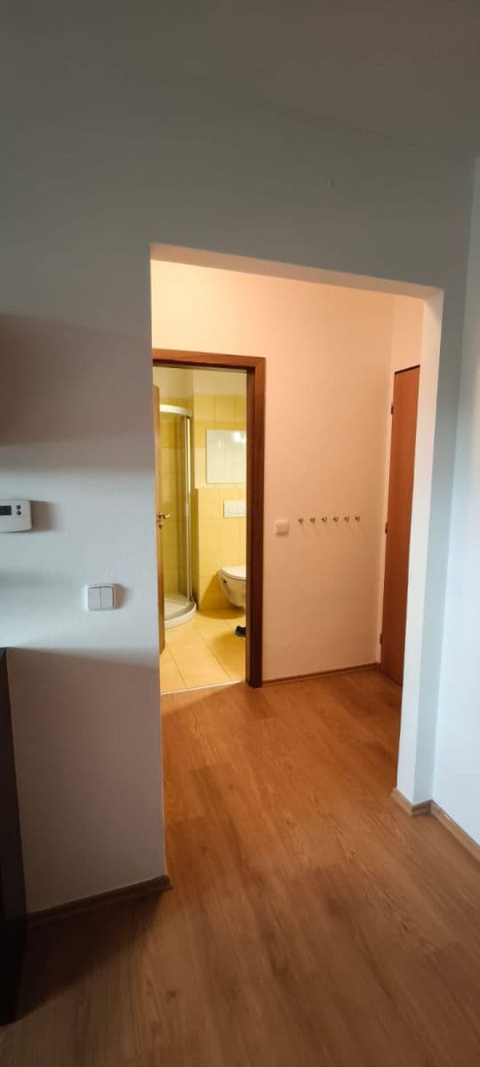 Pronájem bytu 2+kk 39 m², Kpt. Jaroše, Tábor, Jihočeský kraj Pronájem bytu 2+kk 39 m², Kpt. Jaroše, Tábor, Jihočeský kraj