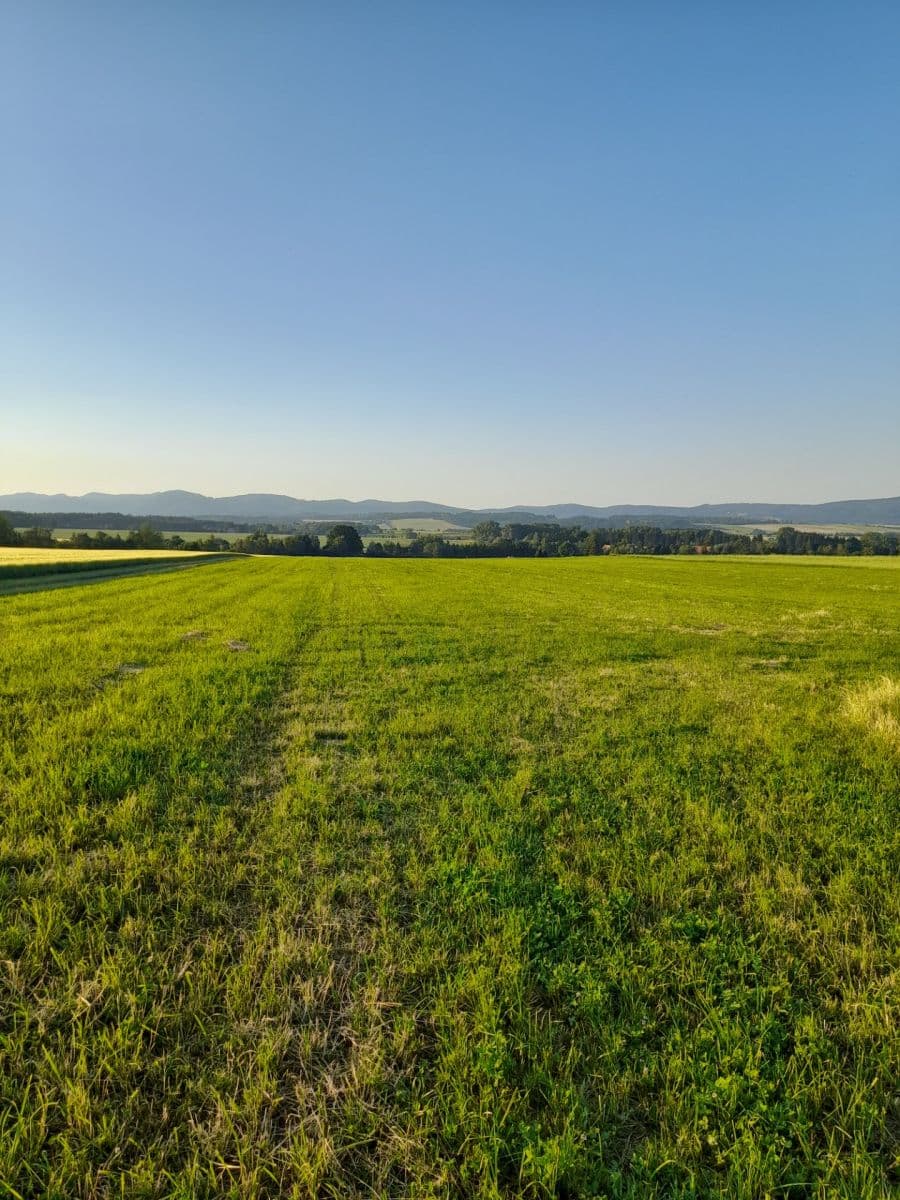 Prodej pozemku 79.627 m², Křinice, Královéhradecký kraj Prodej pozemku 79.627 m², Křinice, Královéhradecký kraj