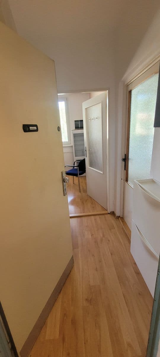 Pronájem bytu 1+1 35 m², Pastviny, Brno, Jihomoravský kraj Pronájem bytu 1+1 35 m², Pastviny, Brno, Jihomoravský kraj