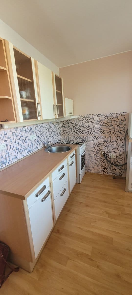 Pronájem bytu 1+1 35 m², Pastviny, Brno, Jihomoravský kraj Pronájem bytu 1+1 35 m², Pastviny, Brno, Jihomoravský kraj
