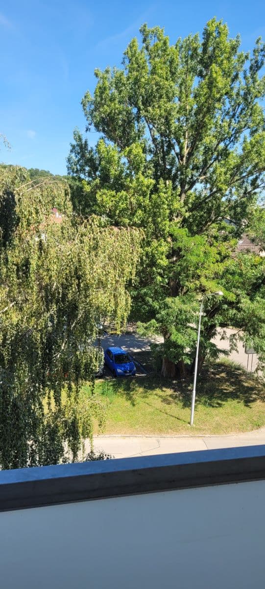 Pronájem bytu 1+1 35 m², Pastviny, Brno, Jihomoravský kraj Pronájem bytu 1+1 35 m², Pastviny, Brno, Jihomoravský kraj