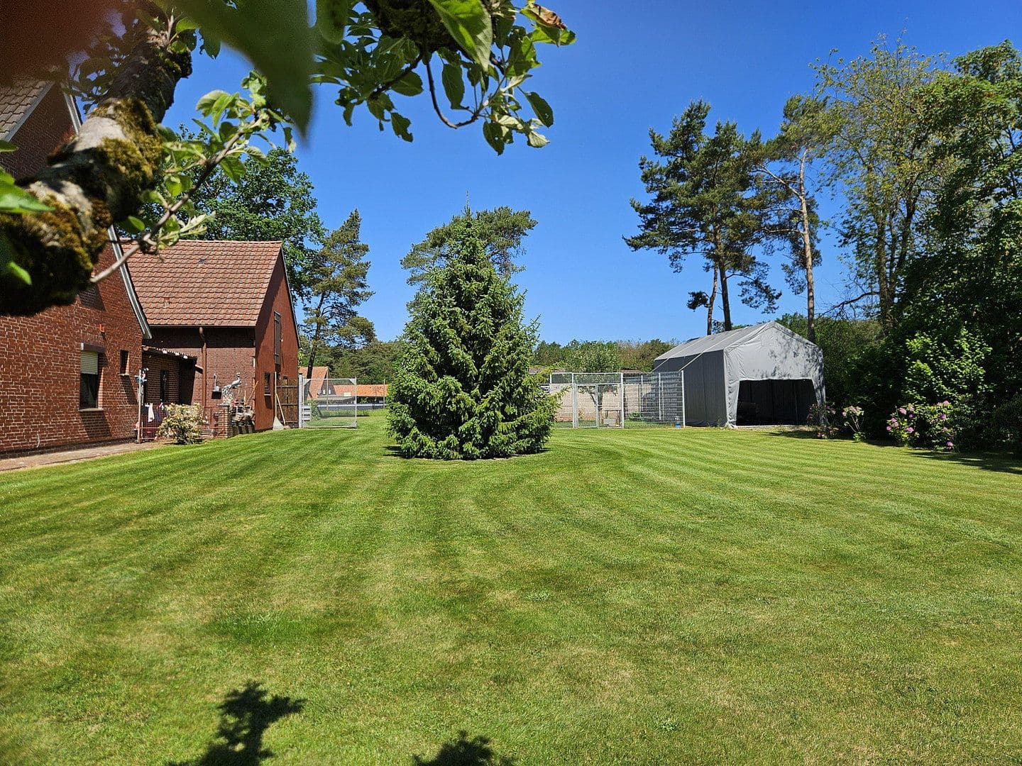 Prodej domu 243 m², pozemek 3.556 m², Barver, Dolní Sasko Prodej domu 243 m², pozemek 3.556 m², Barver, Dolní Sasko