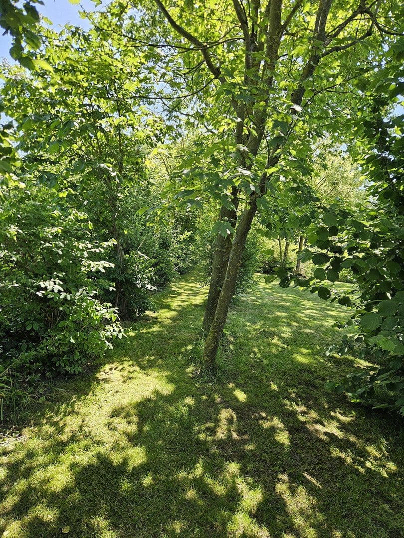 Prodej domu 243 m², pozemek 3.556 m², Barver, Dolní Sasko Prodej domu 243 m², pozemek 3.556 m², Barver, Dolní Sasko
