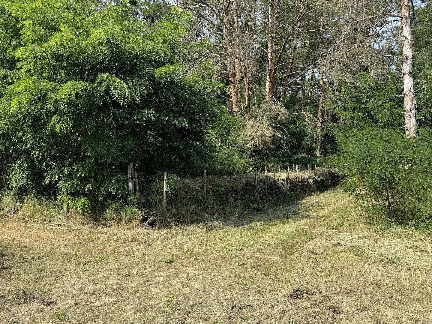 Prodej nebytového prostoru 5.404 m², Zur Alten Landebahn 8, Neuhardenberg, Braniborsko Prodej nebytového prostoru 5.404 m², Zur Alten Landebahn 8, Neuhardenberg, Braniborsko