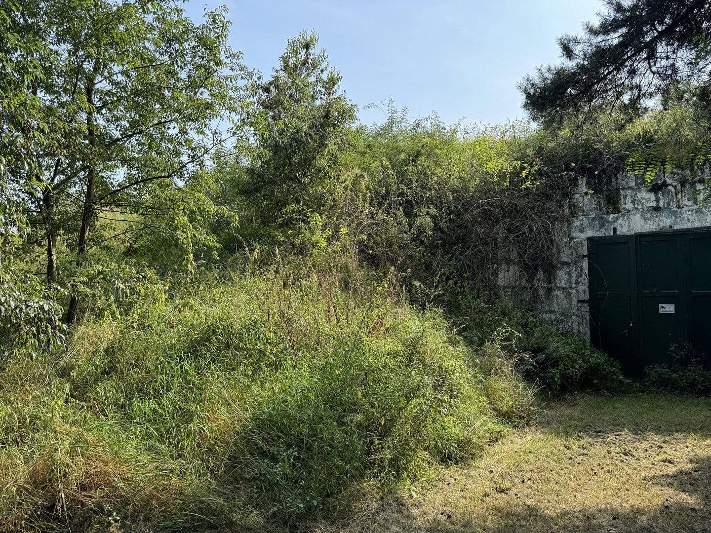 Prodej nebytového prostoru 5.404 m², Zur Alten Landebahn 8, Neuhardenberg, Braniborsko Prodej nebytového prostoru 5.404 m², Zur Alten Landebahn 8, Neuhardenberg, Braniborsko