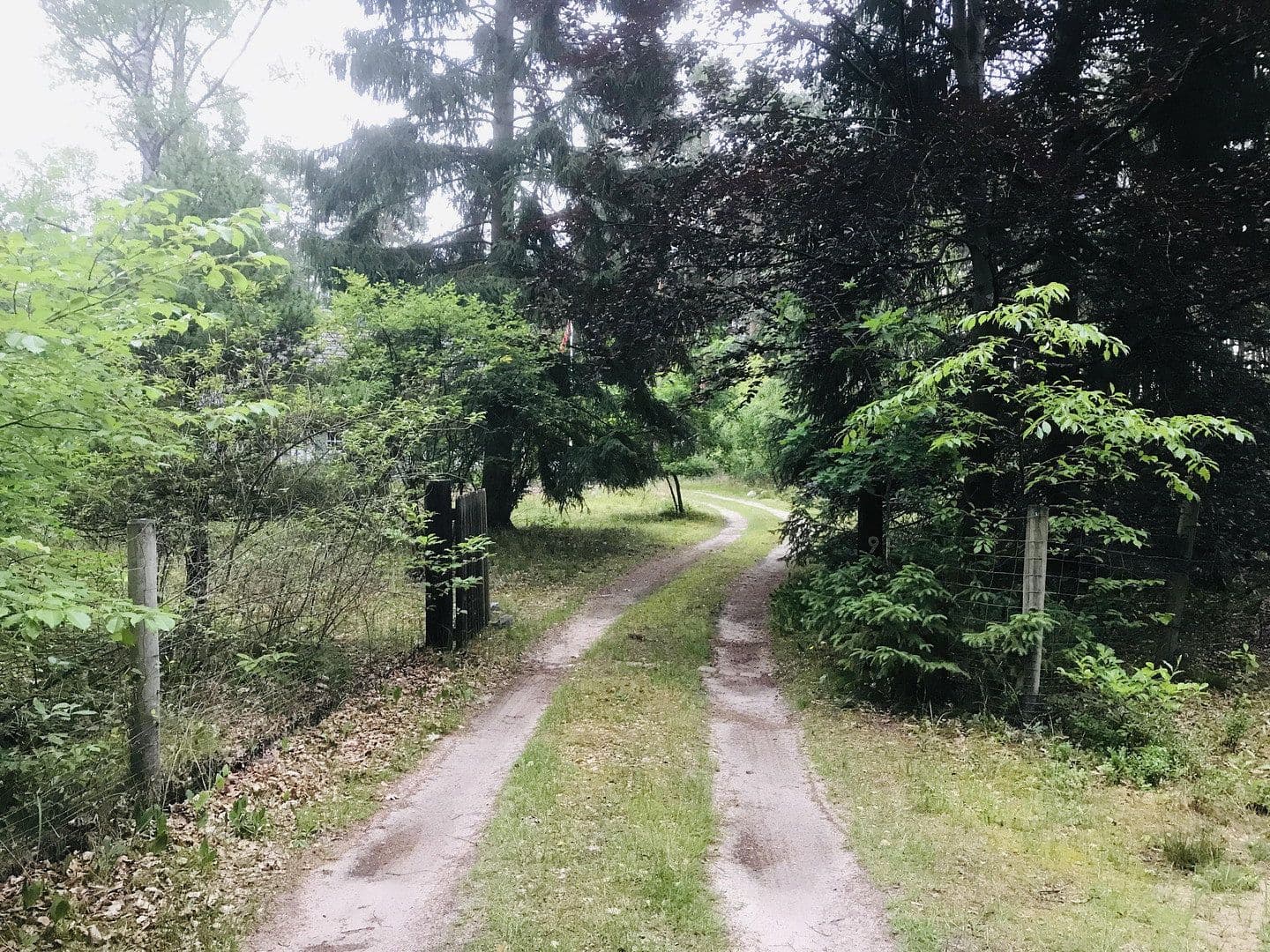 Prodej domu 106 m², pozemek 4.660 m², Bardowick, Dolní Sasko Prodej domu 106 m², pozemek 4.660 m², Bardowick, Dolní Sasko