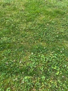 Prodej domu 440 m², pozemek 273 m², Gera, Durynsko Prodej domu 440 m², pozemek 273 m², Gera, Durynsko