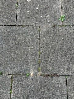 Prodej domu 440 m², pozemek 273 m², Gera, Durynsko Prodej domu 440 m², pozemek 273 m², Gera, Durynsko