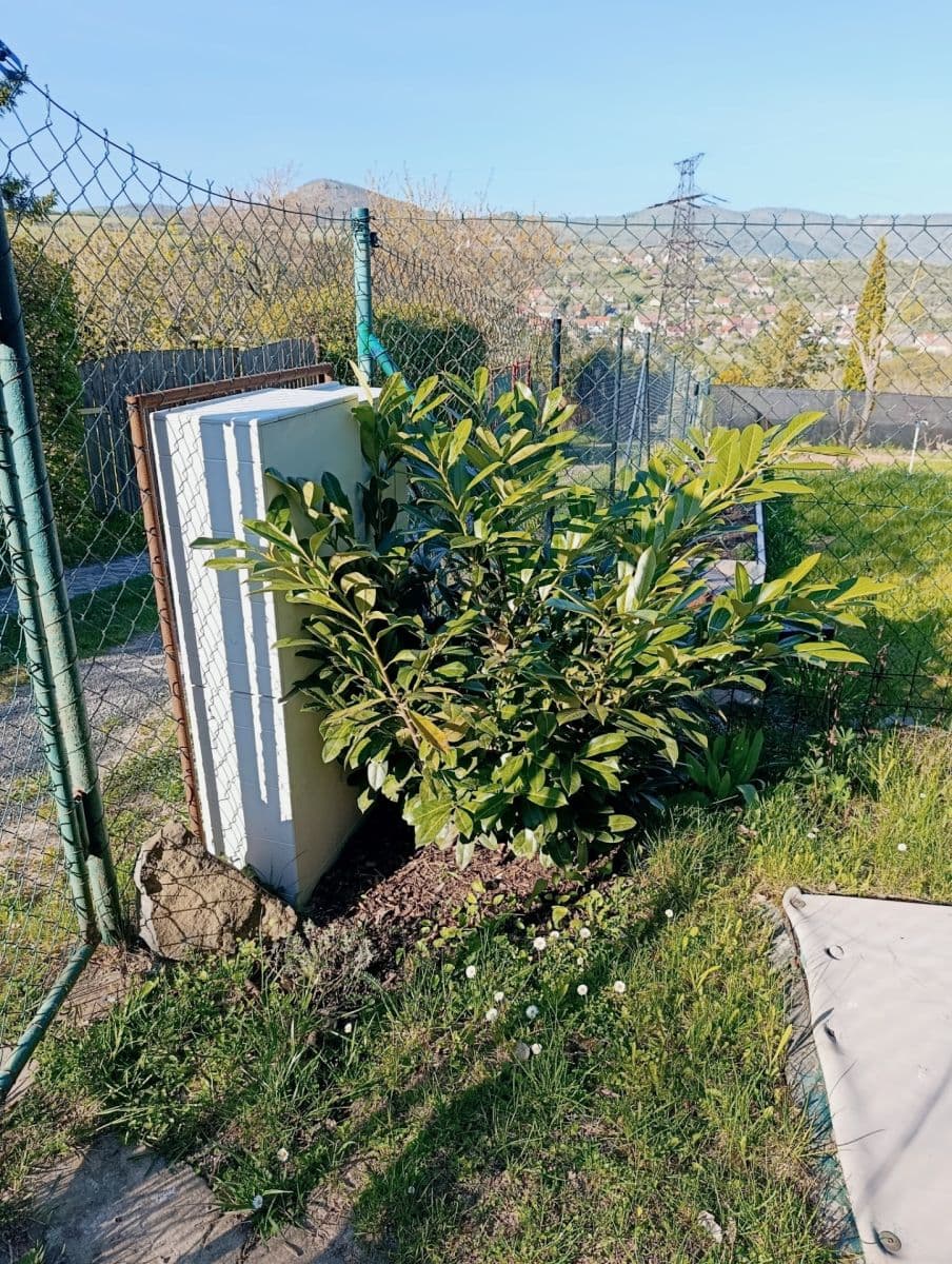 Prodej chaty, chalupy 42 m², pozemek 407 m², Miřejovice, Ústecký kraj Prodej chaty, chalupy 42 m², pozemek 407 m², Miřejovice, Ústecký kraj