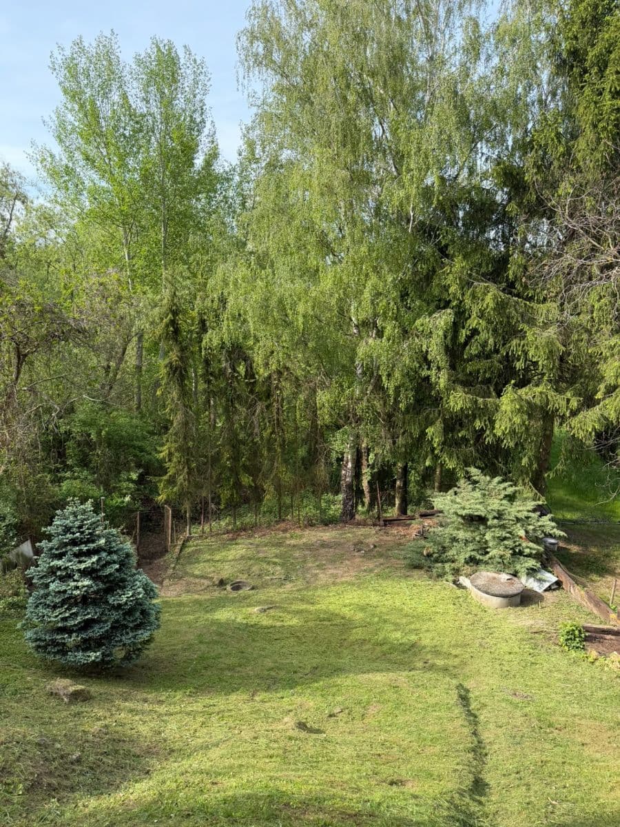 Prodej chaty, chalupy 30 m², pozemek 457 m², Pašinka, Středočeský kraj Prodej chaty, chalupy 30 m², pozemek 457 m², Pašinka, Středočeský kraj
