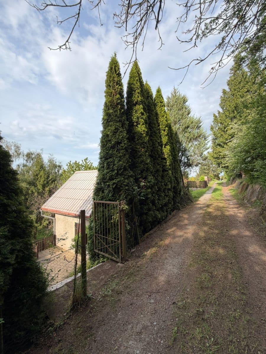 Prodej chaty, chalupy 30 m², pozemek 457 m², Pašinka, Středočeský kraj Prodej chaty, chalupy 30 m², pozemek 457 m², Pašinka, Středočeský kraj