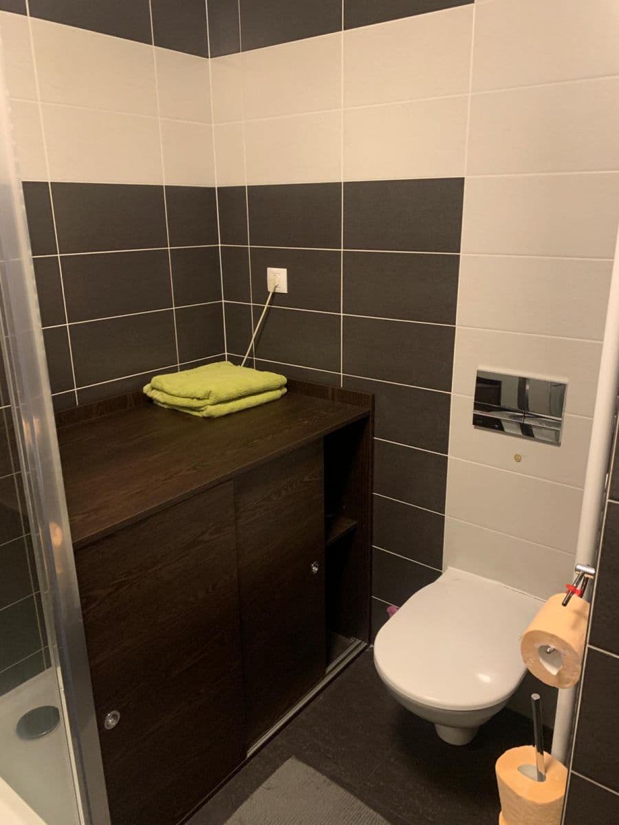 Pronájem bytu 1+kk 36 m², Olgy Havlové, Praha, Praha Pronájem bytu 1+kk 36 m², Olgy Havlové, Praha, Praha