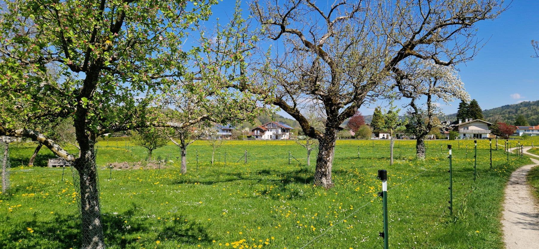 Prodej domu 218 m², pozemek 500 m², Bergen, Bavorsko Prodej domu 218 m², pozemek 500 m², Bergen, Bavorsko