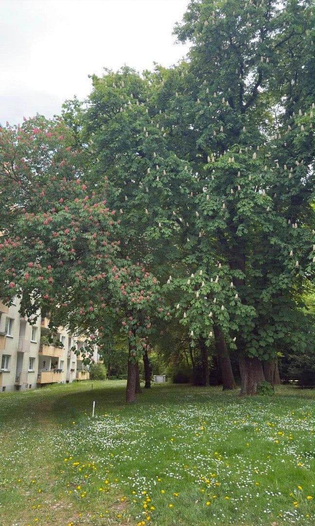 Prodej bytu 2+1 70 m², Denninger Str., München, Bavorsko Prodej bytu 2+1 70 m², Denninger Str., München, Bavorsko