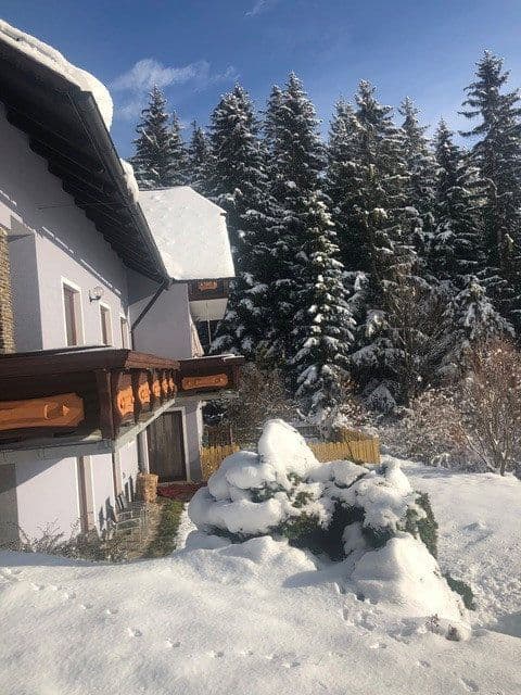 Prodej domu 453 m², pozemek 1.367 m², Hochwechsellifte, Waldbach-Mönichwald, Štýrsko Prodej domu 453 m², pozemek 1.367 m², Hochwechsellifte, Waldbach-Mönichwald, Štýrsko