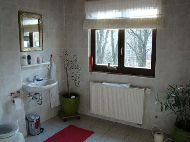 Pronájem bytu 4+kk 210 m², Bennewitz, Sasko Pronájem bytu 4+kk 210 m², Bennewitz, Sasko
