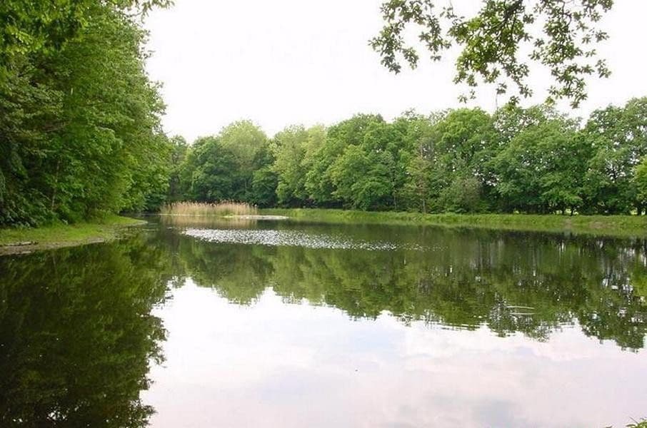 Pronájem bytu 4+kk 210 m², Bennewitz, Sasko Pronájem bytu 4+kk 210 m², Bennewitz, Sasko
