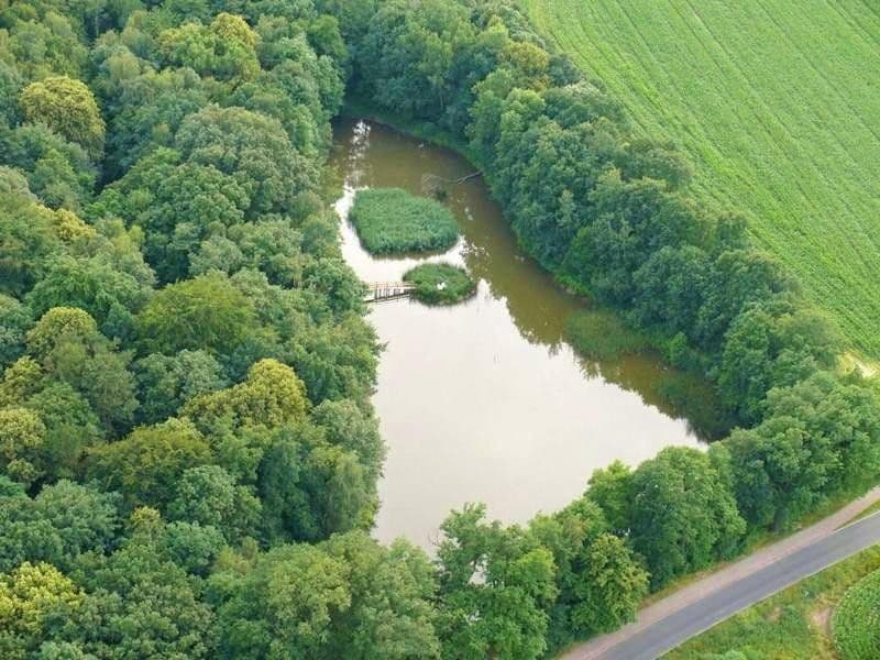 Pronájem bytu 4+kk 210 m², Bennewitz, Sasko Pronájem bytu 4+kk 210 m², Bennewitz, Sasko
