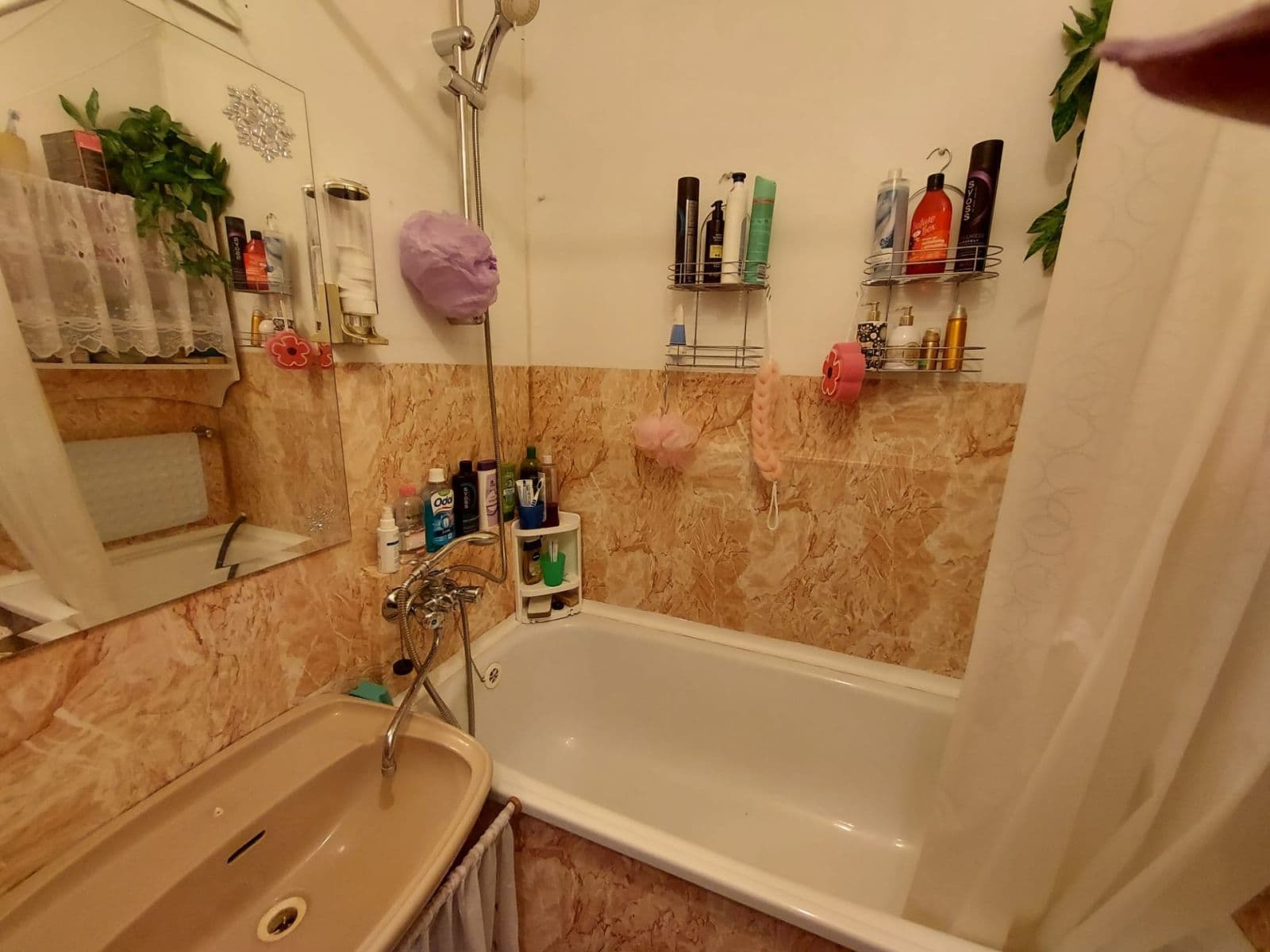 Prodej bytu 2+1 54 m², Ervěnická, Jirkov, Ústecký kraj Prodej bytu 2+1 54 m², Ervěnická, Jirkov, Ústecký kraj