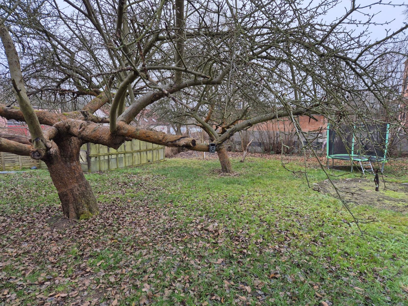 Pronájem bytu 3+1 90 m², Pod Špičákem, Česká Lípa, Liberecký kraj Pronájem bytu 3+1 90 m², Pod Špičákem, Česká Lípa, Liberecký kraj