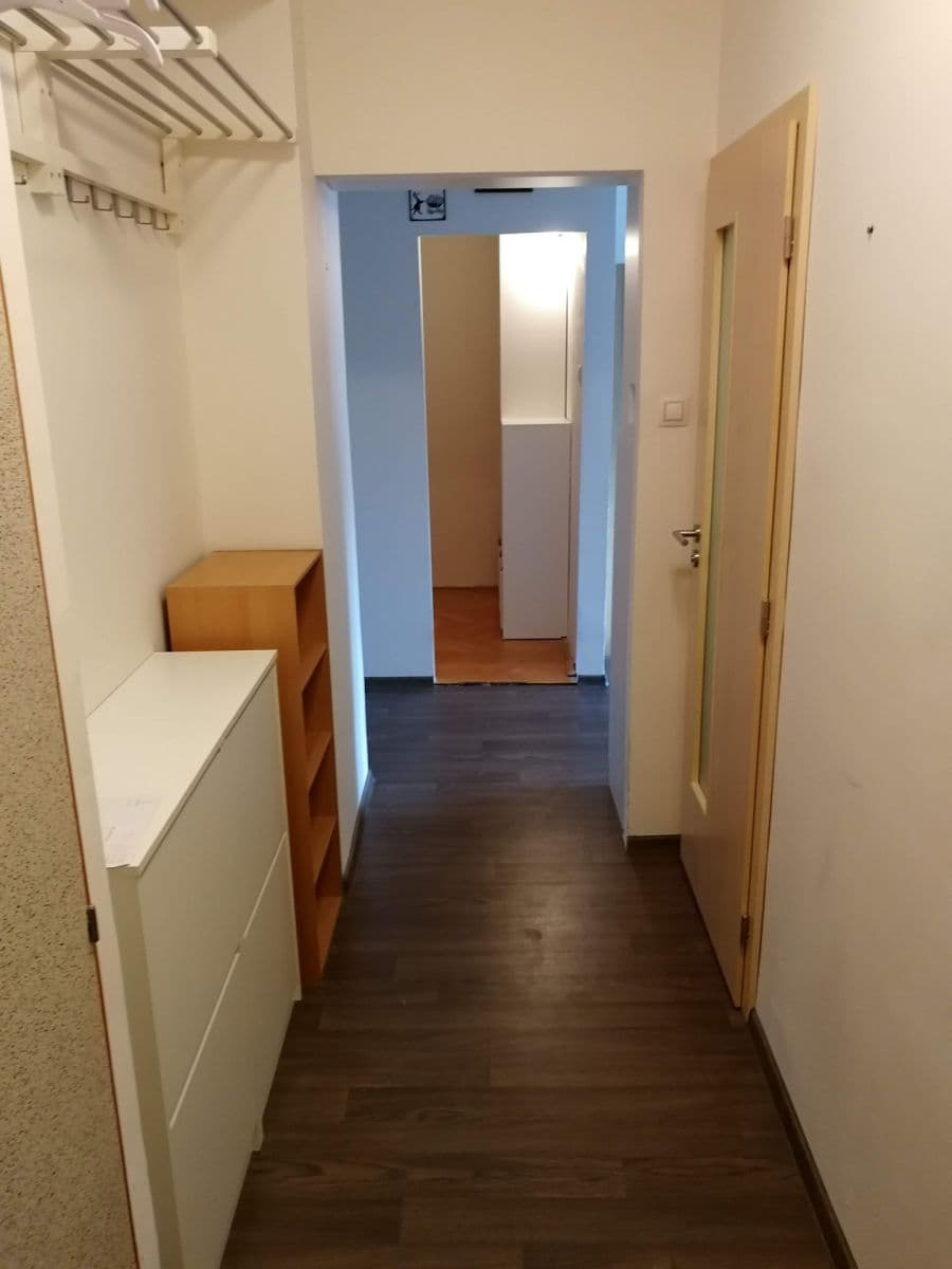 Pronájem bytu 2+kk 50 m², Družstevní, Brno, Jihomoravský kraj Pronájem bytu 2+kk 50 m², Družstevní, Brno, Jihomoravský kraj
