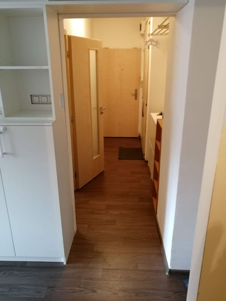 Pronájem bytu 2+kk 50 m², Družstevní, Brno, Jihomoravský kraj Pronájem bytu 2+kk 50 m², Družstevní, Brno, Jihomoravský kraj