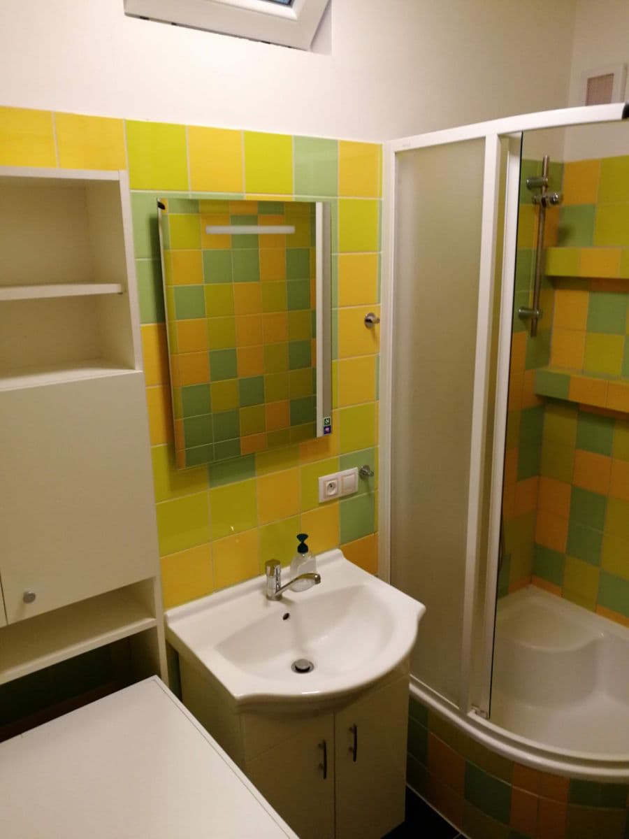Pronájem bytu 2+kk 50 m², Družstevní, Brno, Jihomoravský kraj Pronájem bytu 2+kk 50 m², Družstevní, Brno, Jihomoravský kraj