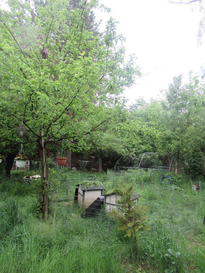 Prodej domu 120 m², pozemek 780 m², München - Thalk.Obersendl.-Forsten-Fürstenr.-Solln, Bavorsko Prodej domu 120 m², pozemek 780 m², München - Thalk.Obersendl.-Forsten-Fürstenr.-Solln, Bavorsko