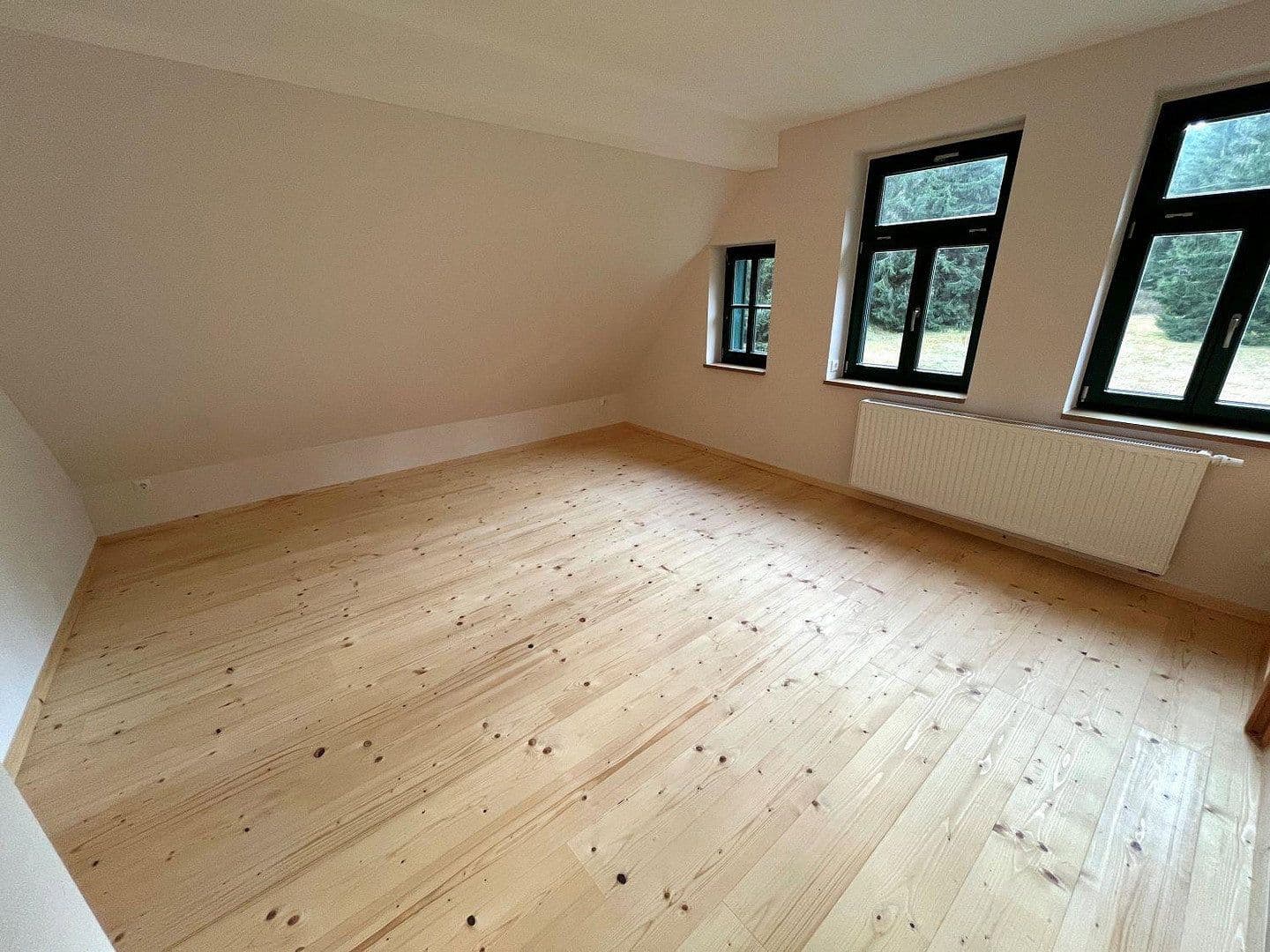 Prodej domu 268 m², pozemek 10.001 m², Eibenstock, Sasko Prodej domu 268 m², pozemek 10.001 m², Eibenstock, Sasko