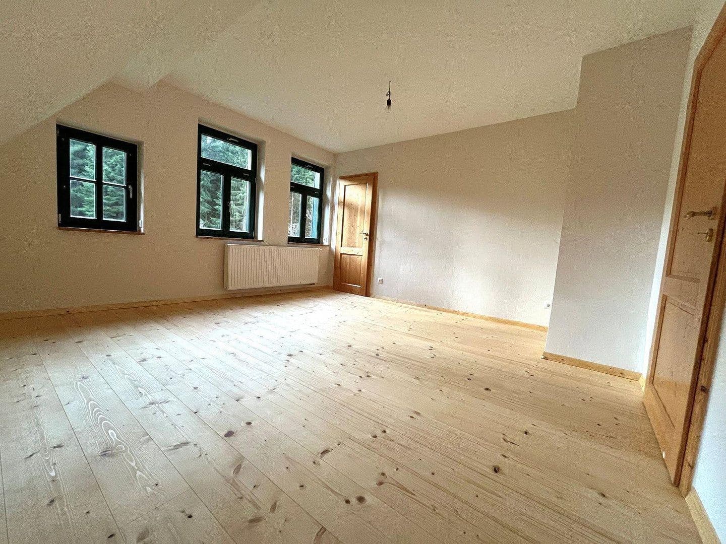 Prodej domu 268 m², pozemek 10.001 m², Eibenstock, Sasko Prodej domu 268 m², pozemek 10.001 m², Eibenstock, Sasko