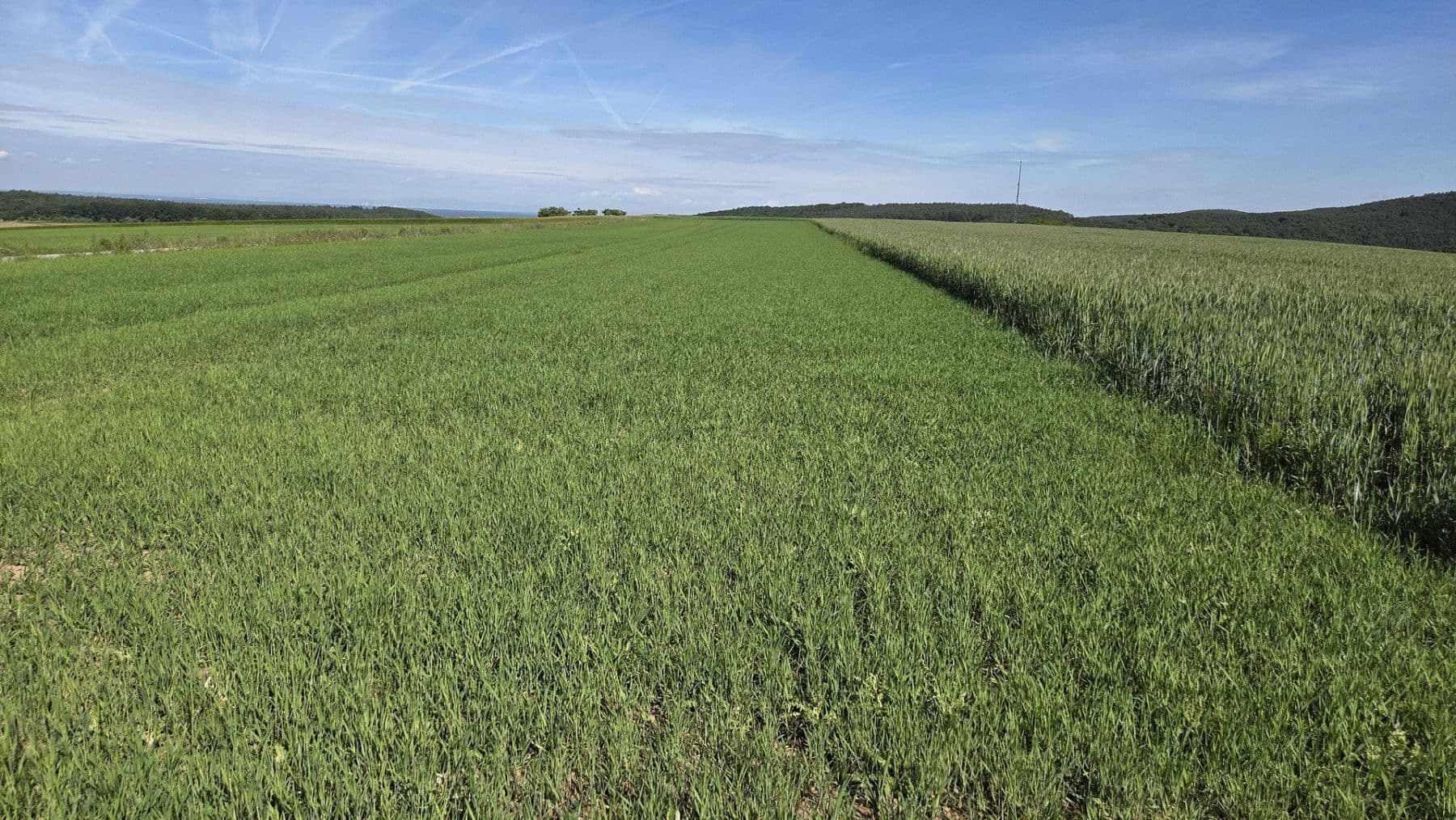 Prodej pozemku 6.910 m², Leidersbach, Bavorsko Prodej pozemku 6.910 m², Leidersbach, Bavorsko