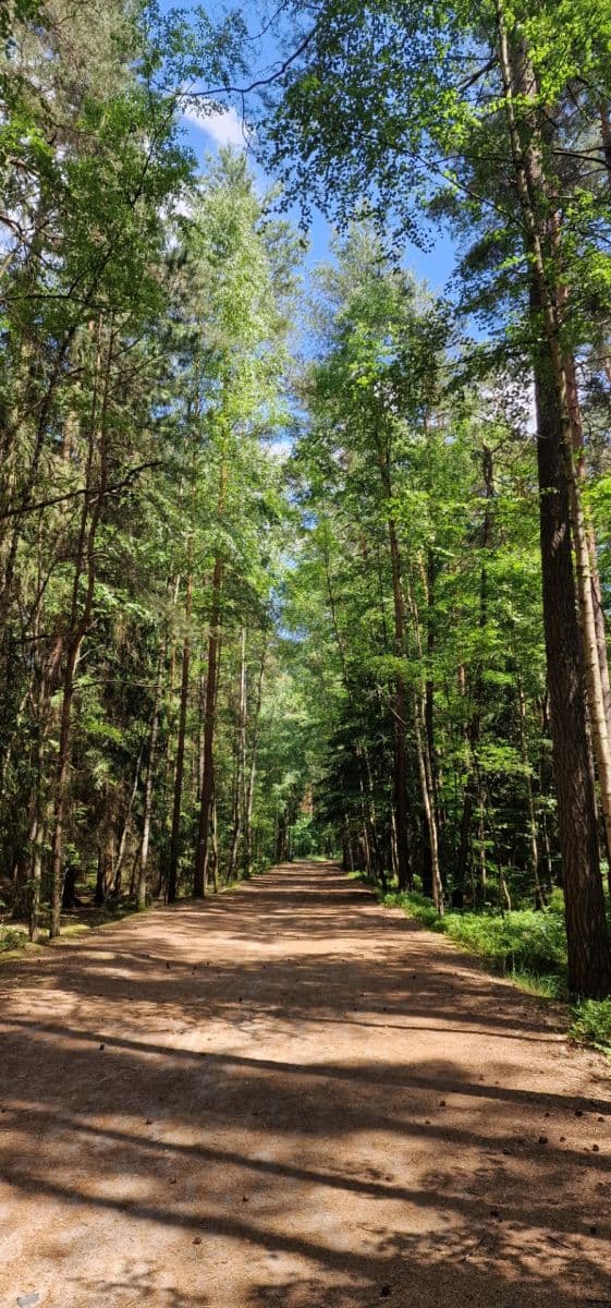 Prodej chaty, chalupy 27 m², pozemek 27 m², 0381, Doksy, Liberecký kraj Prodej chaty, chalupy 27 m², pozemek 27 m², 0381, Doksy, Liberecký kraj