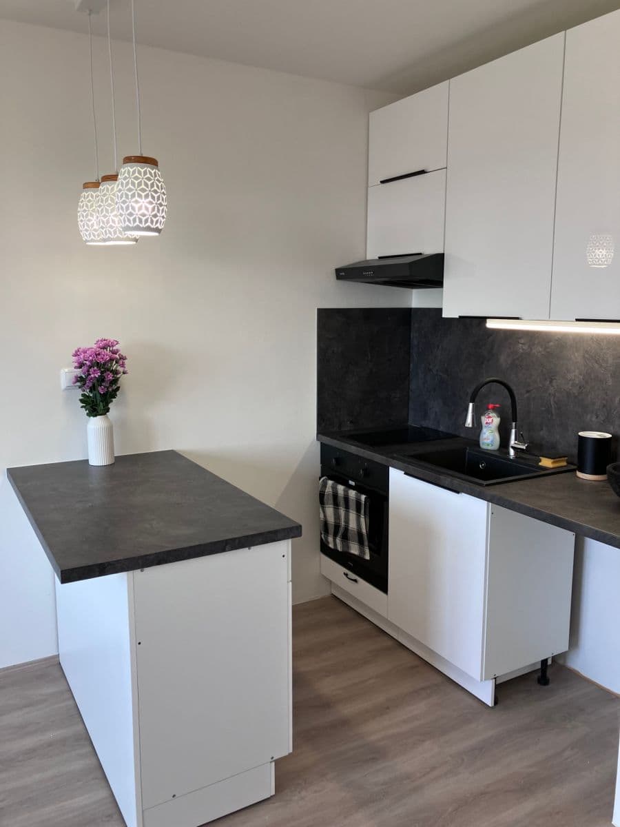 Pronájem bytu 1+kk 24 m², Přesličková, Praha, Praha Pronájem bytu 1+kk 24 m², Přesličková, Praha, Praha