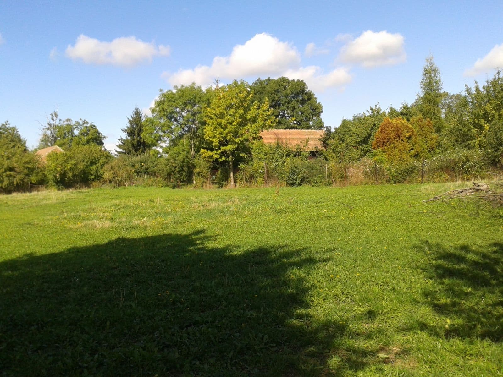 Pronájem pozemku 1.555 m², Městec Králové, Středočeský kraj Pronájem pozemku 1.555 m², Městec Králové, Středočeský kraj