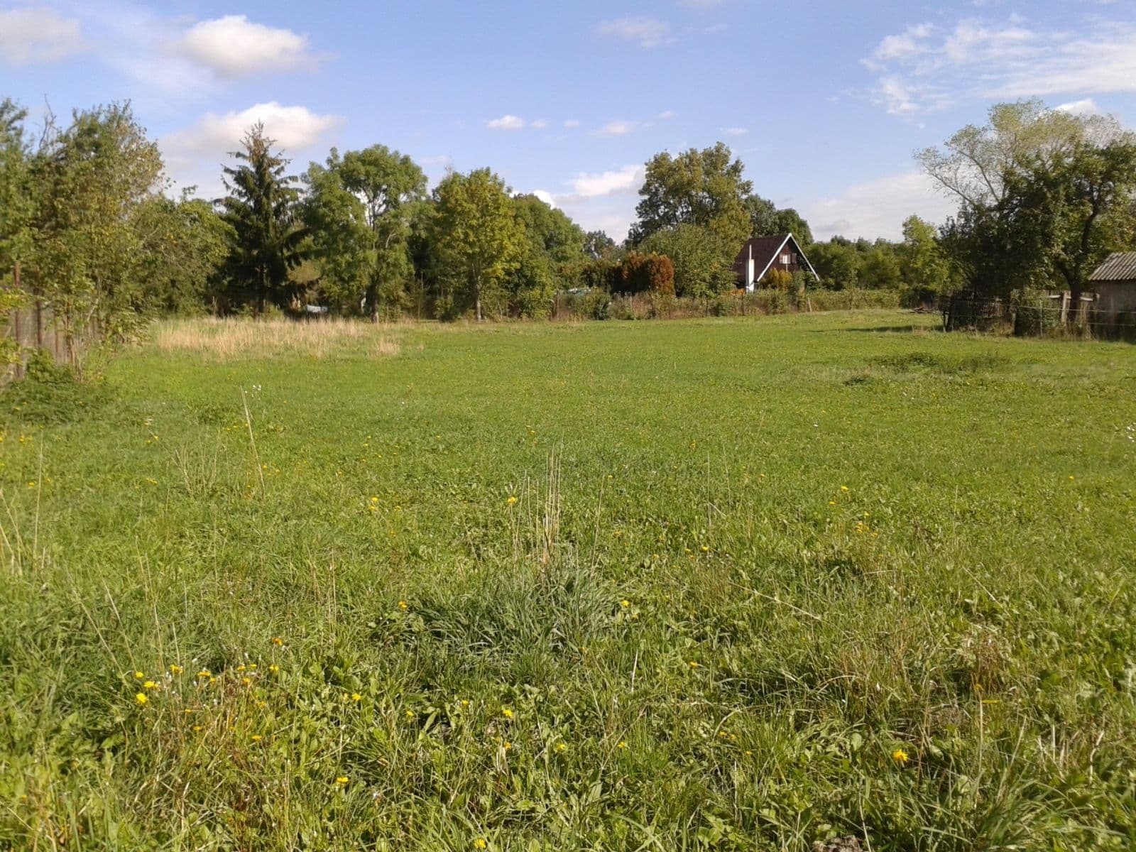 Pronájem pozemku 1.555 m², Městec Králové, Středočeský kraj Pronájem pozemku 1.555 m², Městec Králové, Středočeský kraj