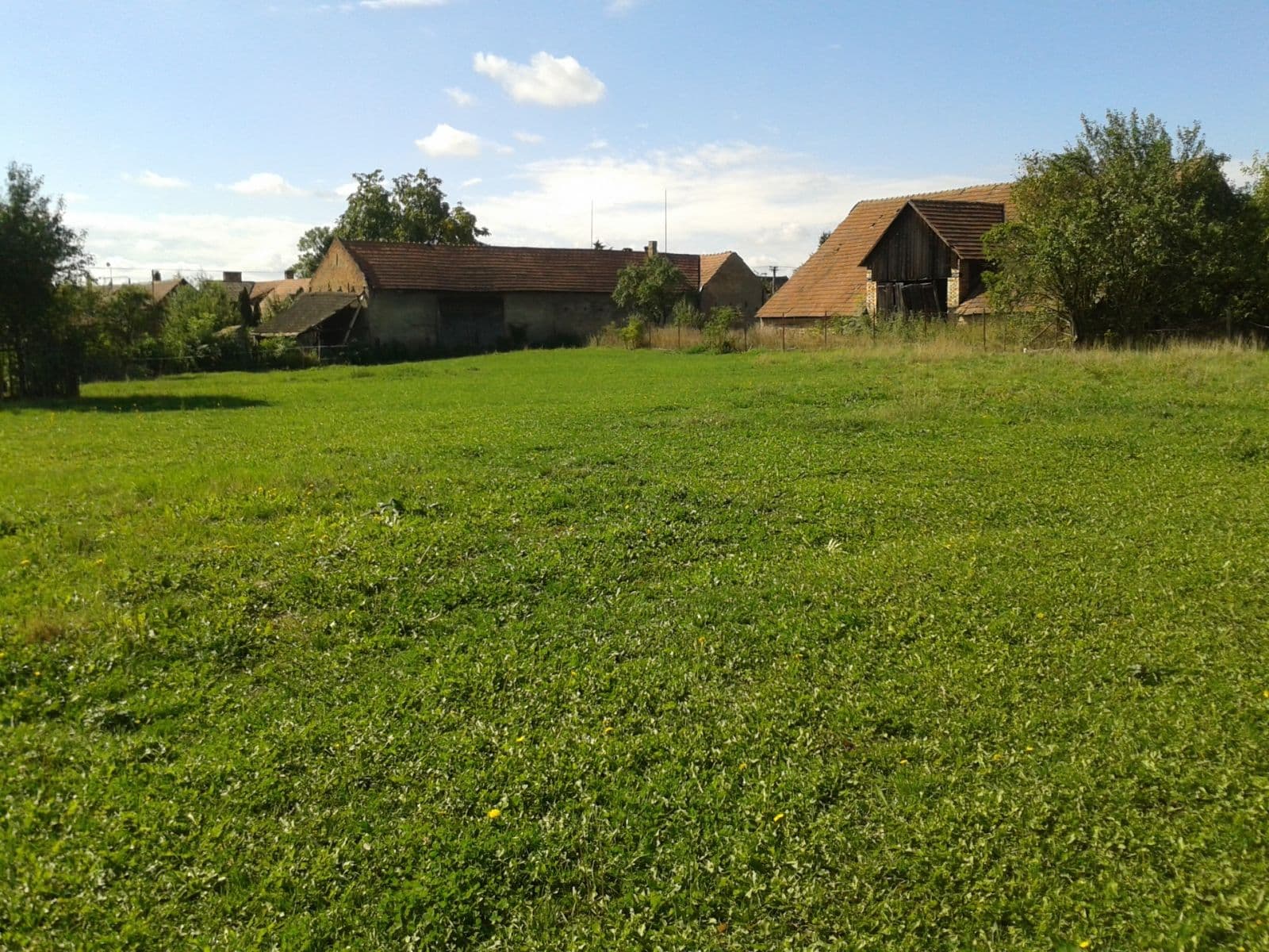 Pronájem pozemku 1.555 m², Městec Králové, Středočeský kraj Pronájem pozemku 1.555 m², Městec Králové, Středočeský kraj