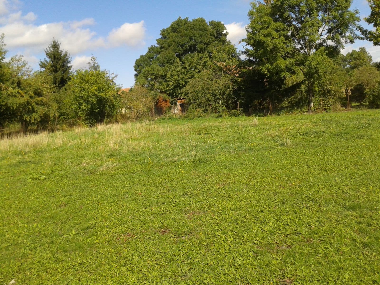 Pronájem pozemku 1.555 m², Městec Králové, Středočeský kraj Pronájem pozemku 1.555 m², Městec Králové, Středočeský kraj