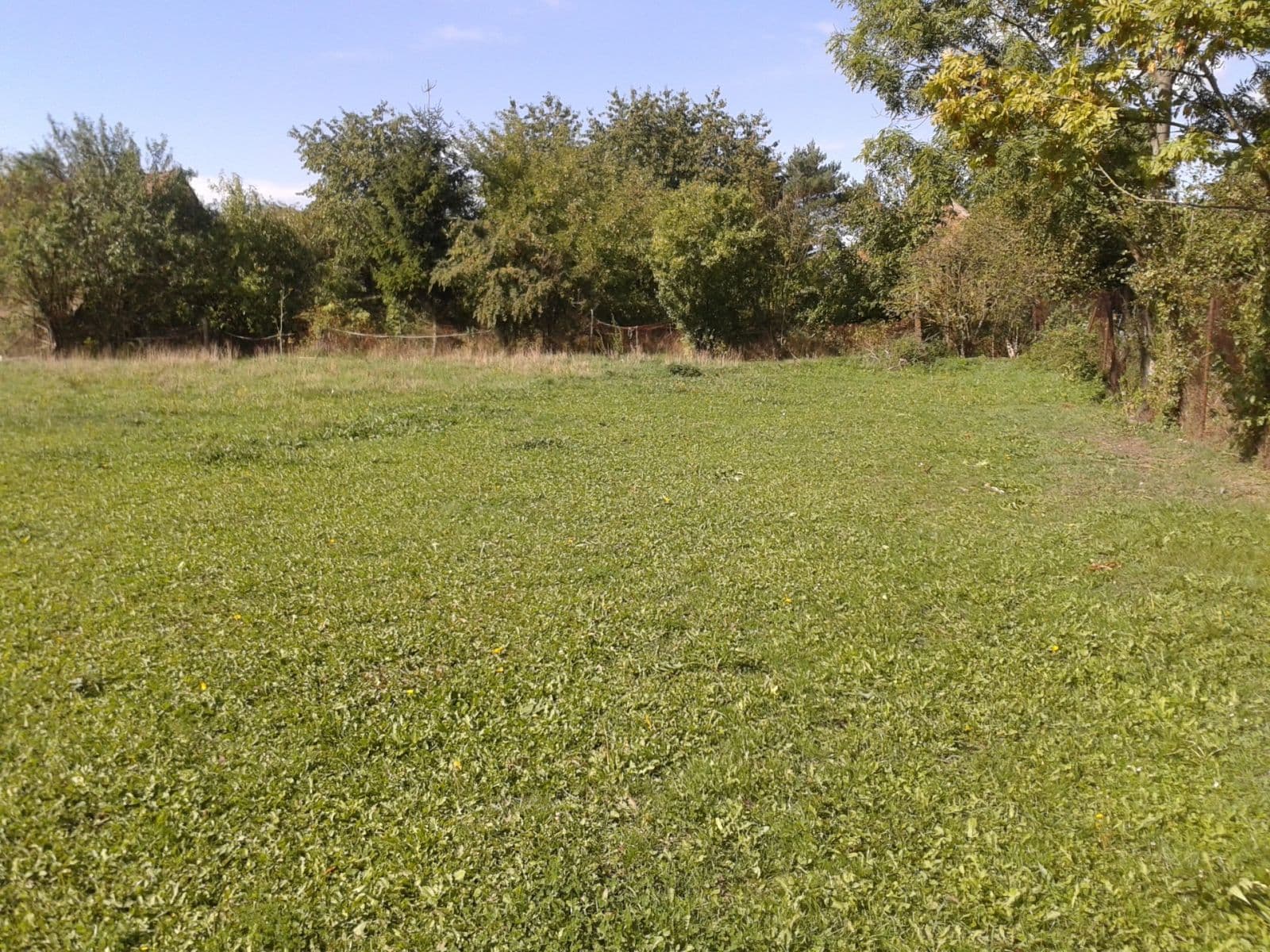 Pronájem pozemku 1.555 m², Městec Králové, Středočeský kraj Pronájem pozemku 1.555 m², Městec Králové, Středočeský kraj