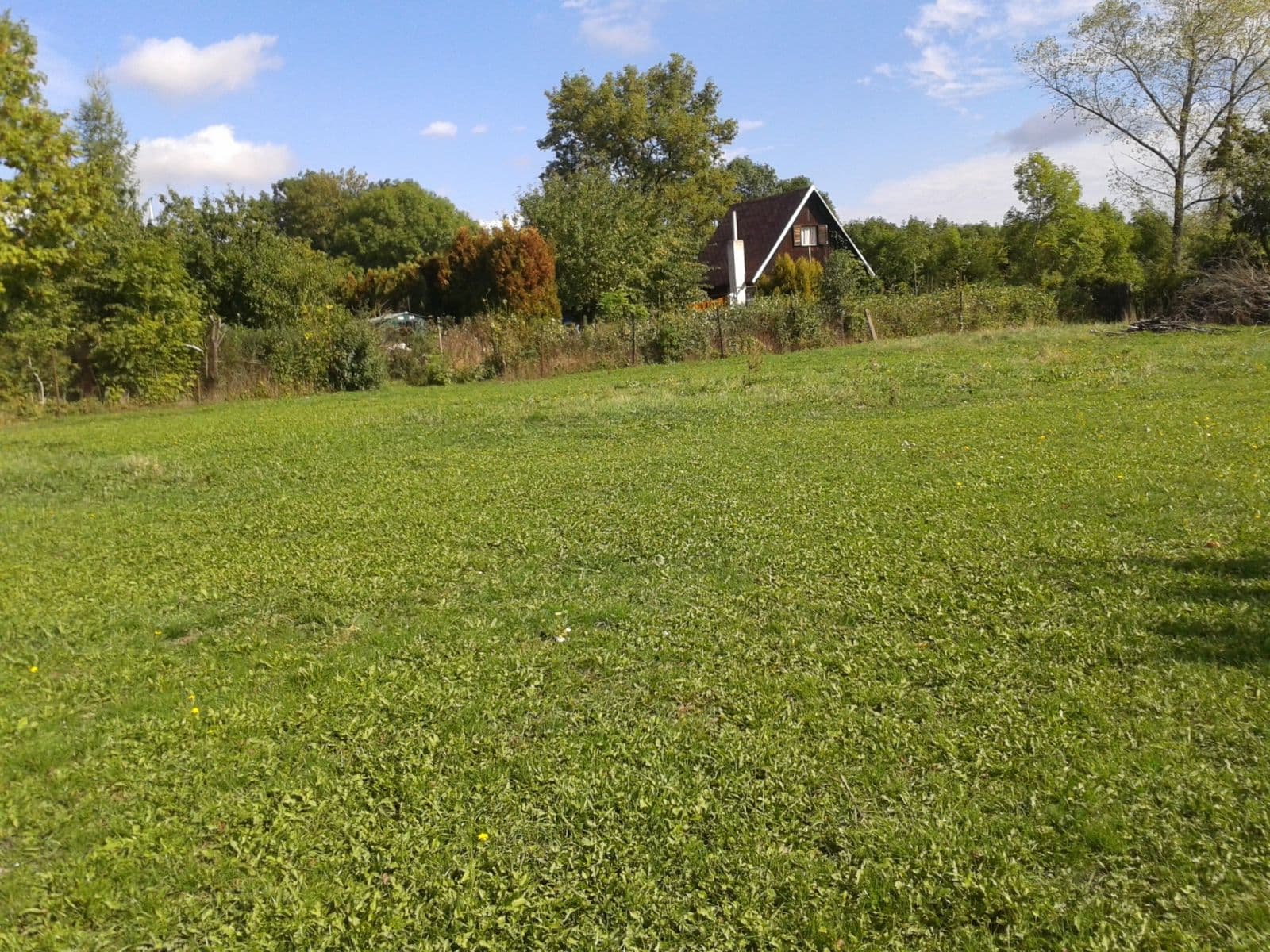 Pronájem pozemku 1.555 m², Městec Králové, Středočeský kraj Pronájem pozemku 1.555 m², Městec Králové, Středočeský kraj