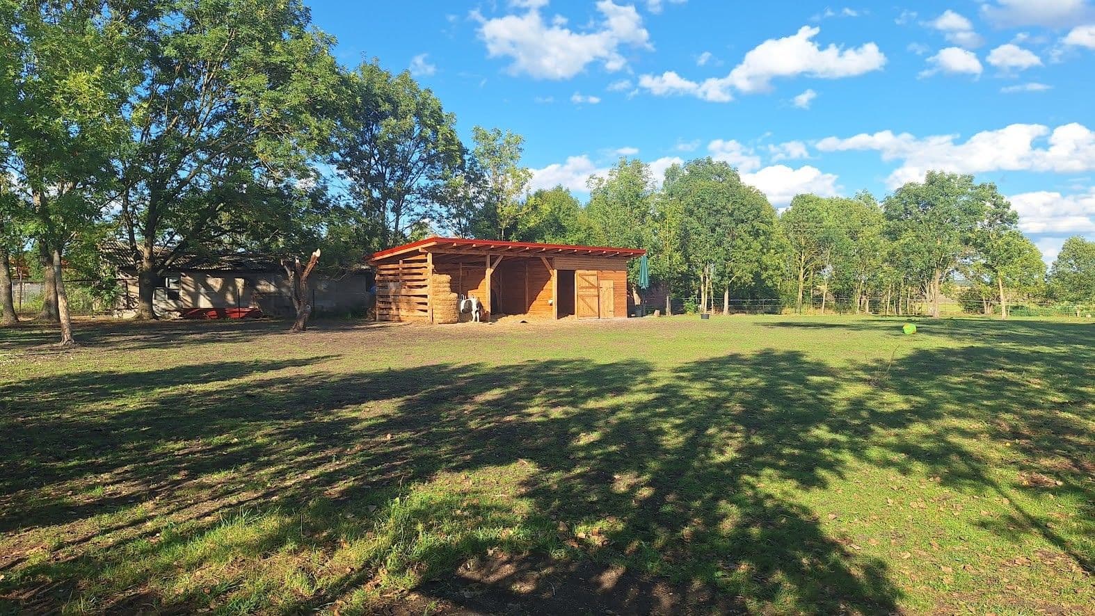 Pronájem pozemku 1.555 m², Městec Králové, Středočeský kraj Pronájem pozemku 1.555 m², Městec Králové, Středočeský kraj